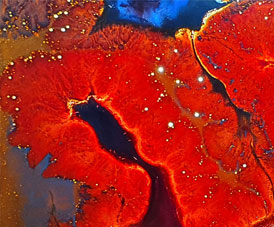 Detail of a painting made with fractal technique