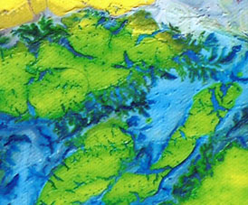 Fragment of a fractal art painting