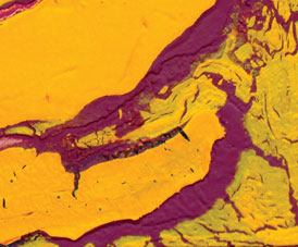 Fractal art detail