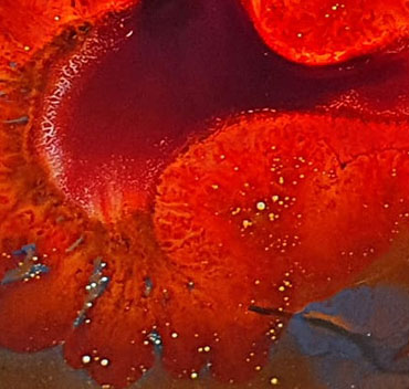 Un fractal pintado sin el uso de computadoras