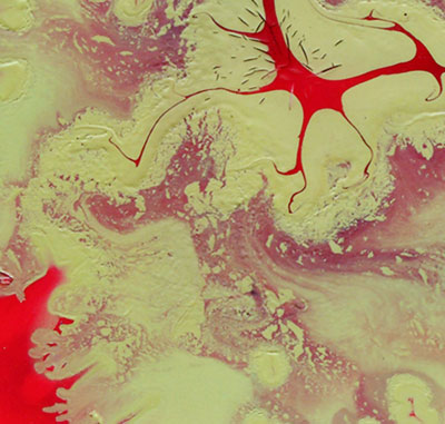 Arte fractalico de ISARO