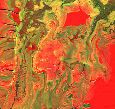 Detalle de una pintura fractal