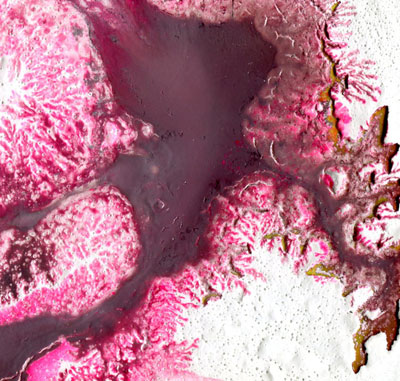 detalle de arte fractal